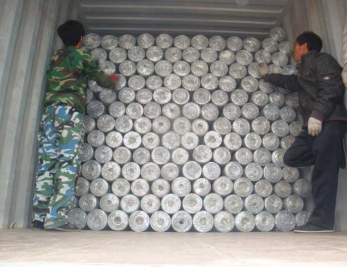 Hexagonal Wire Netting