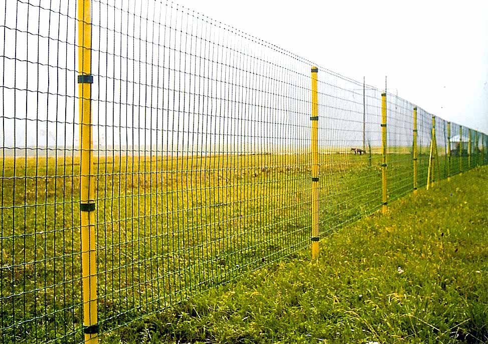 Cheap PriceList for Construction Fence - Original Factory China Power Coated Welded Wire Mesh Fencing for Road and Garden – Hua Guang