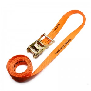Special Design for Wire Mesh - Ratchet Tie Down Without Hook – Hua Guang