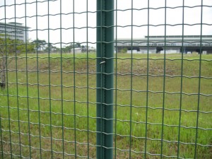 OEM/ODM Manufacturer China Factory Price UV Stabilized Virgin HDPE 50%70%/90%/95% GSM Green Agricultural/Agro Shade Cloth, Sun Block Shade Net/Privacy Screening/Windbreak/Garden Fence