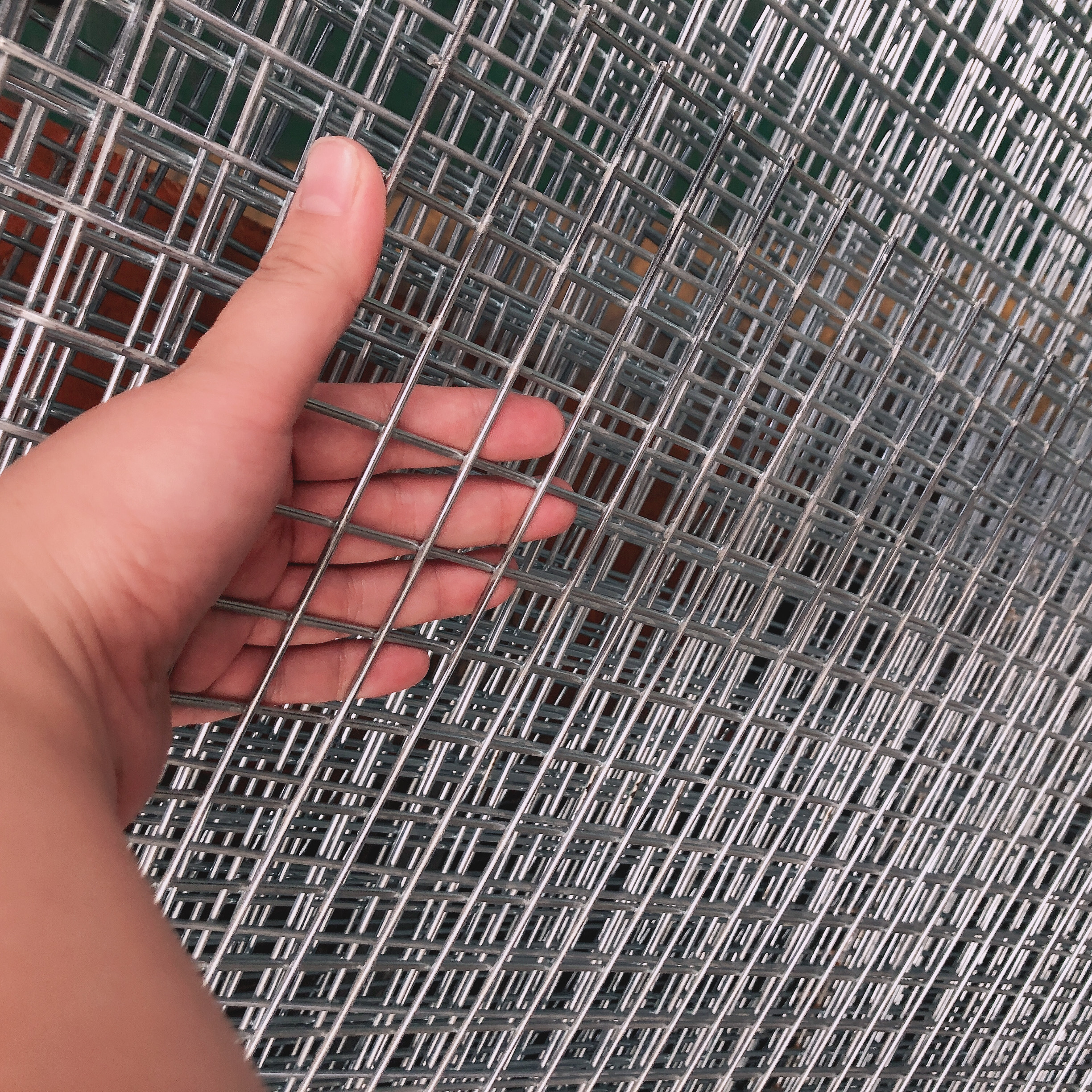 galvanized welded wire mesh 